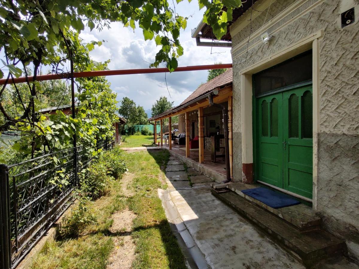 La Tataia Zahei Hotel Dragus Exterior photo