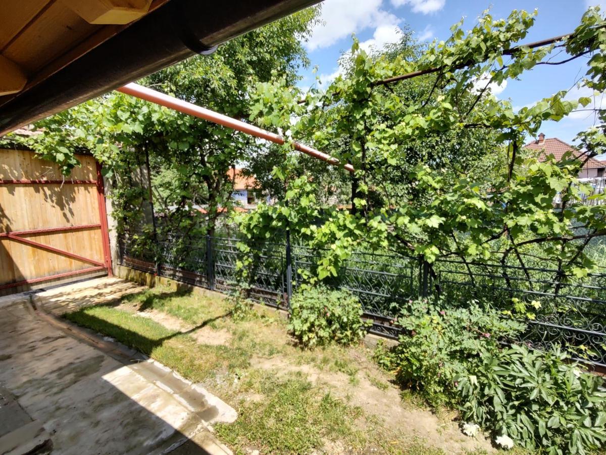 La Tataia Zahei Hotel Dragus Exterior photo